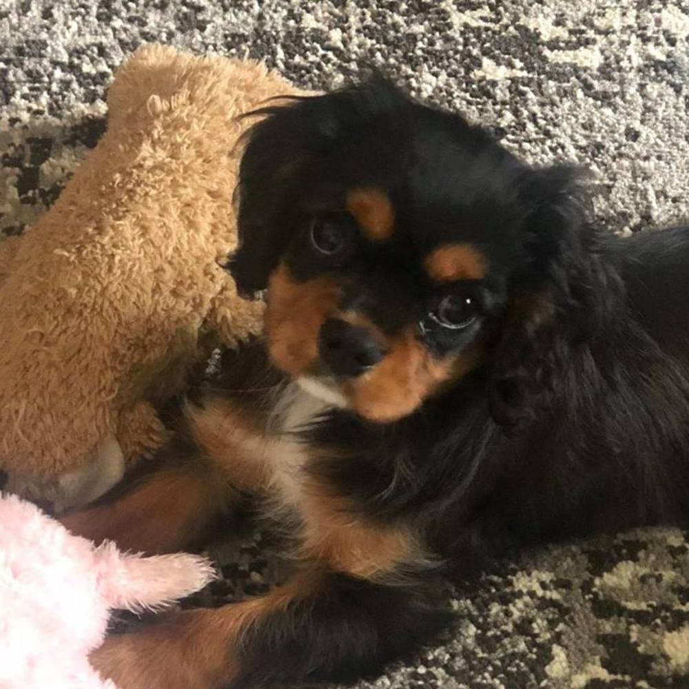 Meet your Posher, Kimberly